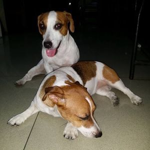 Meet your Posher, Jo